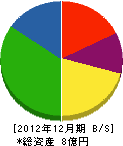 岩澤組 貸借対照表 2012年12月期