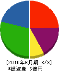 中川商店 貸借対照表 2010年6月期