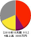 二俣電気工業社 損益計算書 2010年10月期