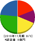 山田建設興業 貸借対照表 2010年11月期
