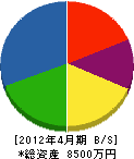 石井商事 貸借対照表 2012年4月期