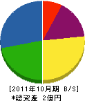 八木沢電設 貸借対照表 2011年10月期