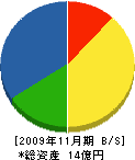 遠藤電機 貸借対照表 2009年11月期