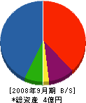 竹原木材 貸借対照表 2008年9月期