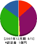 溜前商店 貸借対照表 2007年12月期