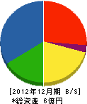 長谷川建設 貸借対照表 2012年12月期