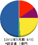 辰雄組 貸借対照表 2012年5月期