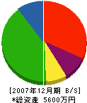 藤本鉄工 貸借対照表 2007年12月期 藤本鉄工 貸借対照表 2007年12月期