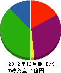 辻元塗装工業 貸借対照表 2012年12月期