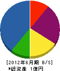 徳永工務店 貸借対照表 2012年6月期