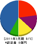 坂本建設 貸借対照表 2011年3月期