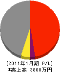 シンケン工業 損益計算書 2011年1月期