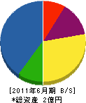 武村石材建設 貸借対照表 2011年6月期