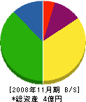 徳島美装工業 貸借対照表 2008年11月期