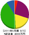粟飯原電気 貸借対照表 2011年6月期