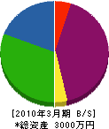 マエダ設備 貸借対照表 2010年3月期