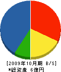 小松建設 貸借対照表 2009年10月期 小松建設 貸借対照表 2009年10月期