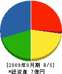 平山鉄筋 貸借対照表 2009年8月期