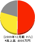 平井製作所 損益計算書 2009年12月期