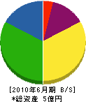 古川コンサルタント 貸借対照表 2010年6月期