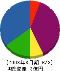 竜場工務店 貸借対照表 2008年3月期