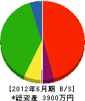 橋本設備工業 貸借対照表 2012年6月期