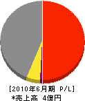 渡辺塗料 損益計算書 2010年6月期