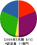 柴田重機運輸 貸借対照表 2009年5月期