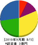 茂森工務店 貸借対照表 2010年9月期