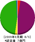 松山建工 貸借対照表 2009年8月期
