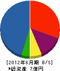蔵田工業 貸借対照表 2012年6月期