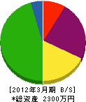 阪本建設 貸借対照表 2012年3月期