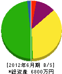竹田建設 貸借対照表 2012年6月期