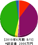 斎栄電気工事 貸借対照表 2010年6月期