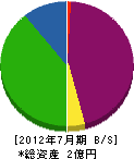 山本電気商会 貸借対照表 2012年7月期