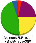 ヒラケン 貸借対照表 2010年6月期 ヒラケン 貸借対照表 2010年6月期