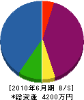 川勝組 貸借対照表 2010年6月期