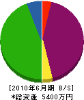 ヤマサ佐々木産業 貸借対照表 2010年6月期