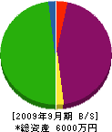 神崎スチール工業 貸借対照表 2009年9月期