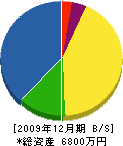 川嶋組 貸借対照表 2009年12月期