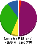 湘南通信工業 貸借対照表 2011年5月期