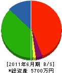 上野塗工 貸借対照表 2011年6月期