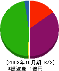 野村工務店 貸借対照表 2009年10月期