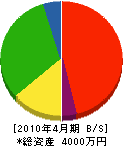 田島ポンプ工業 貸借対照表 2010年4月期