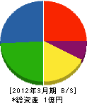 柴田建設 貸借対照表 2012年3月期