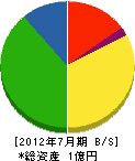 松井建設 貸借対照表 2012年7月期