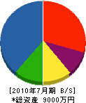 大川水道設備 貸借対照表 2010年7月期