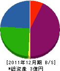 平成 貸借対照表 2011年12月期