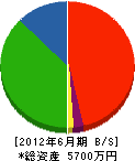 上野塗工 貸借対照表 2012年6月期