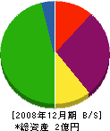 五晃電気 貸借対照表 2008年12月期